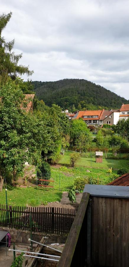 Ferienwohnung Silvia Bad Lauterberg Ngoại thất bức ảnh